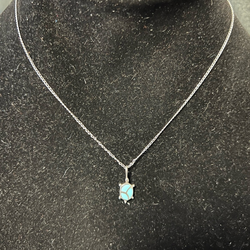 Zuni  sterling silver sleeping beauty turquoise turtle necklace